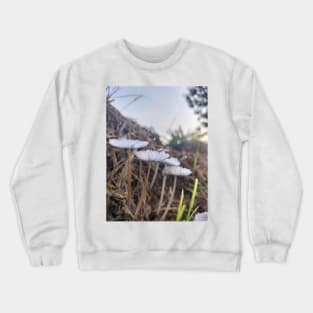 Mushrooms Crewneck Sweatshirt